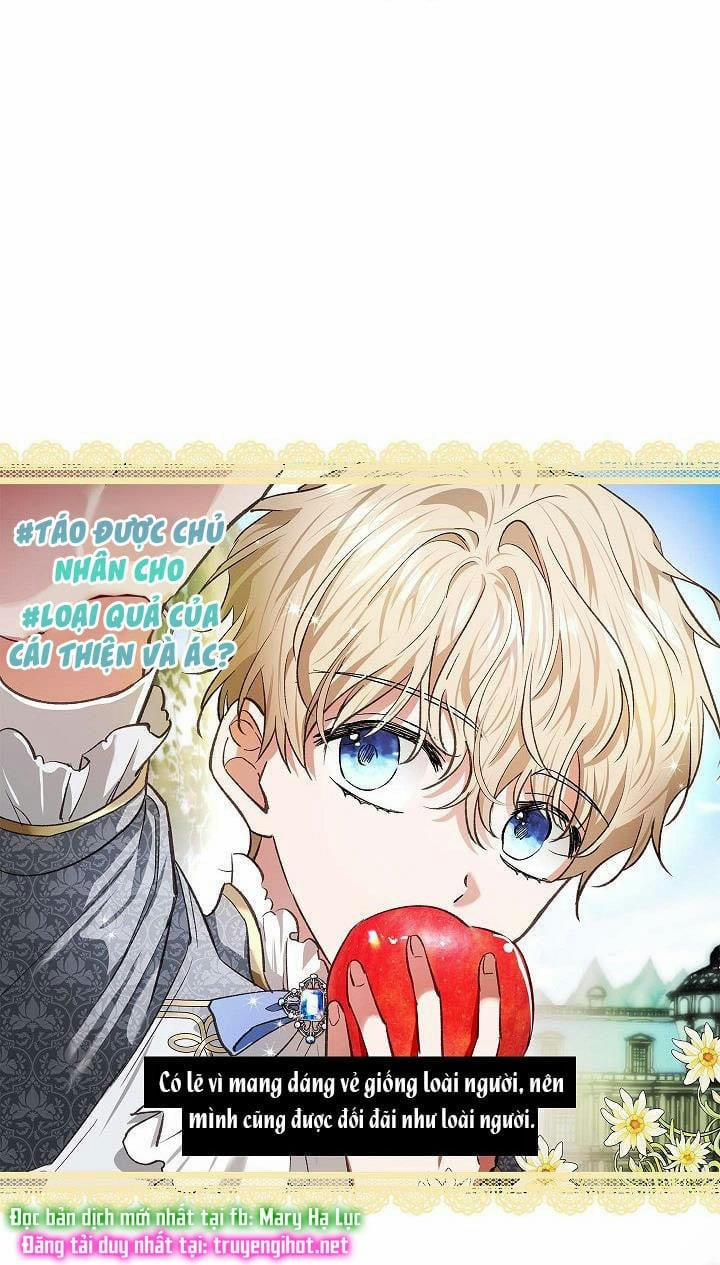 Nhan Sắc Bí Ẩn Của Chồng Tôi 78.5 trang 23