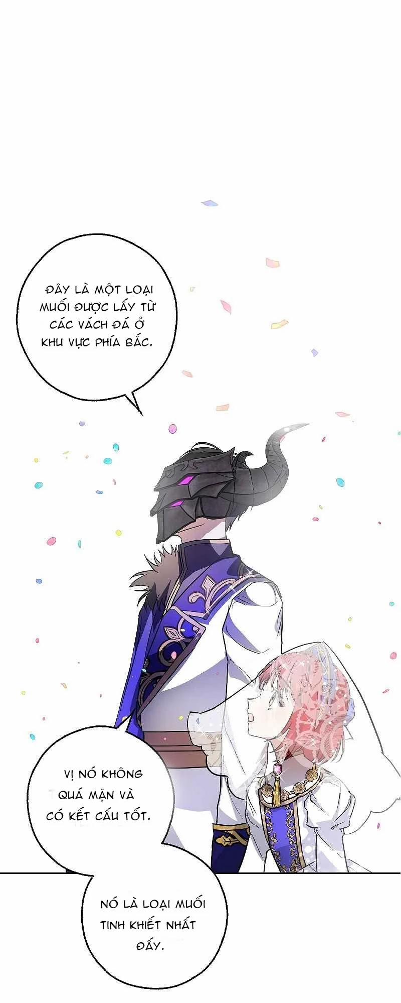 Nhan Sắc Bí Ẩn Của Chồng Tôi 8 trang 60