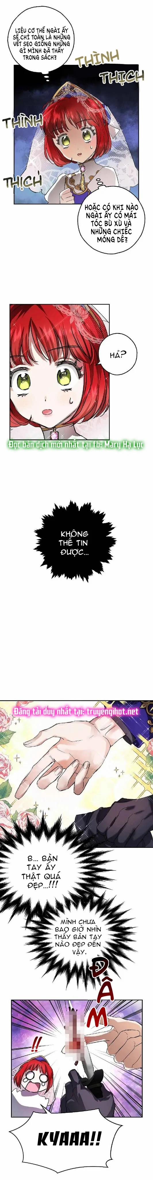 Nhan Sắc Bí Ẩn Của Chồng Tôi 9 trang 11