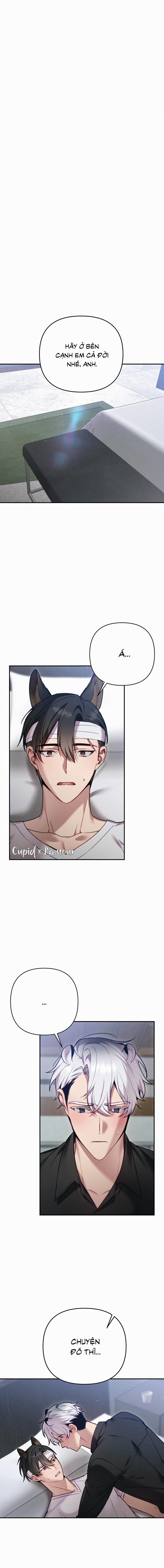 [NHÂN THÚ] CON BÁO ĐOO CON CHÓ 5 trang 0