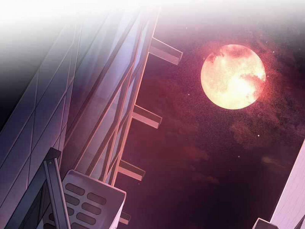 Nhân Vật Ngoài Lề Tiểu Thuyết 26 trang 205