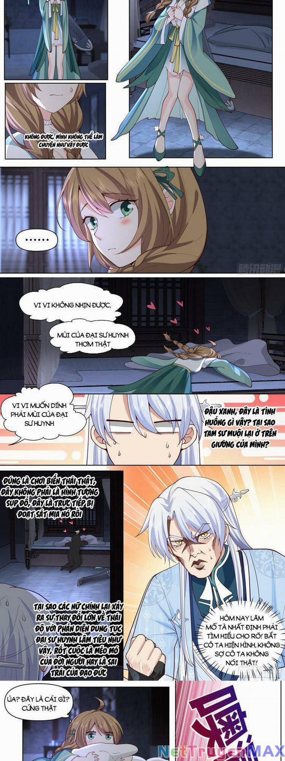 Nhân Vật Phản Diện Đại Sư Huynh, Tất Cả Các Sư Muội Đều Là Bệnh Kiều 26 trang 1