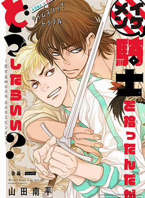 Đọc truyện tranh Nhặt Được Kỵ Sĩ, Tôi Phải Làm Sao Đây?