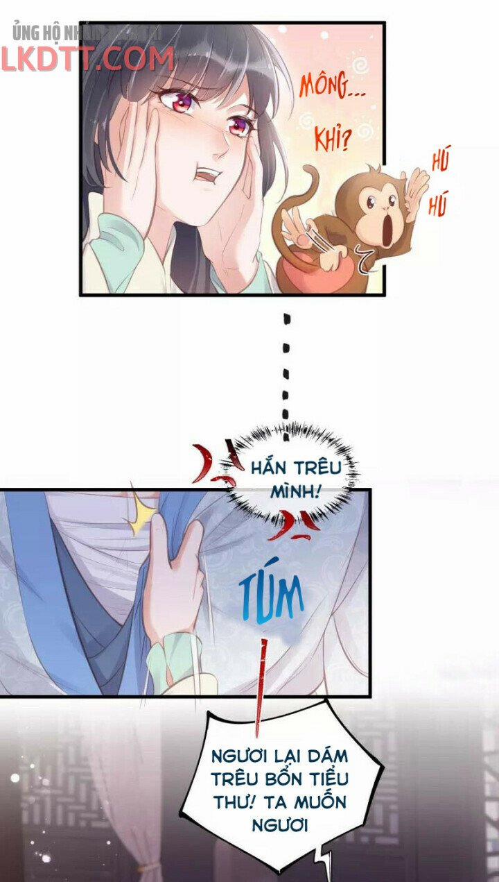 Nhật Kí Học Tập Của Hắc Liên Hoa 12.1 trang 5