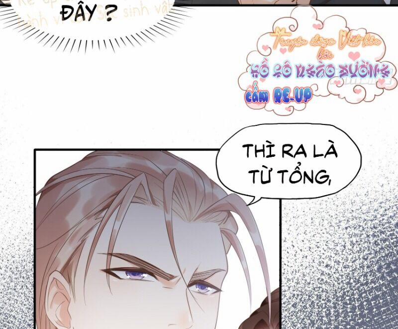 Nhật Kí Mưu Sinh Của Tra Nữ 8 trang 19