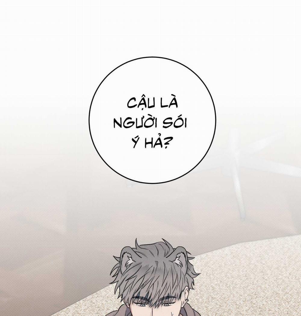 Nhật Ký Nuôi Dưỡng Sói Hoang 2 trang 44