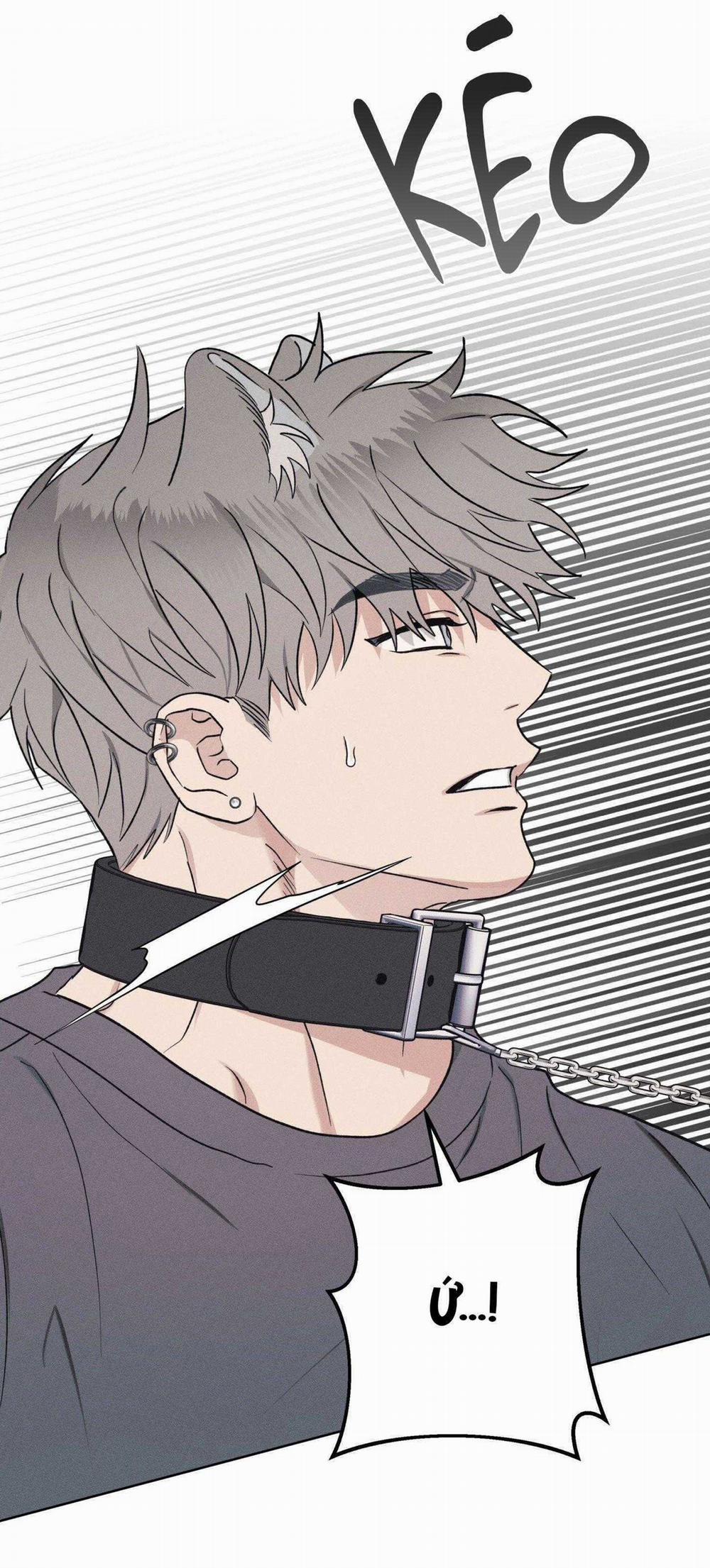 Nhật Ký Nuôi Dưỡng Sói Hoang 9 trang 30