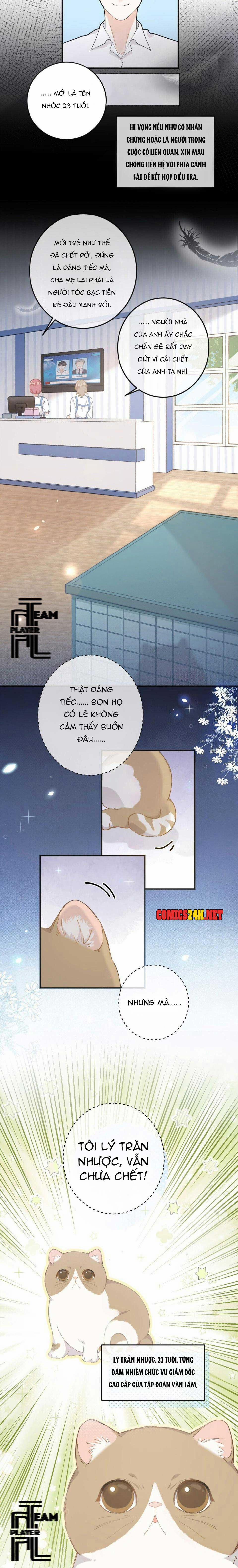 Nhật Ký Phục Thù Của Mèo Garfield 1 trang 3