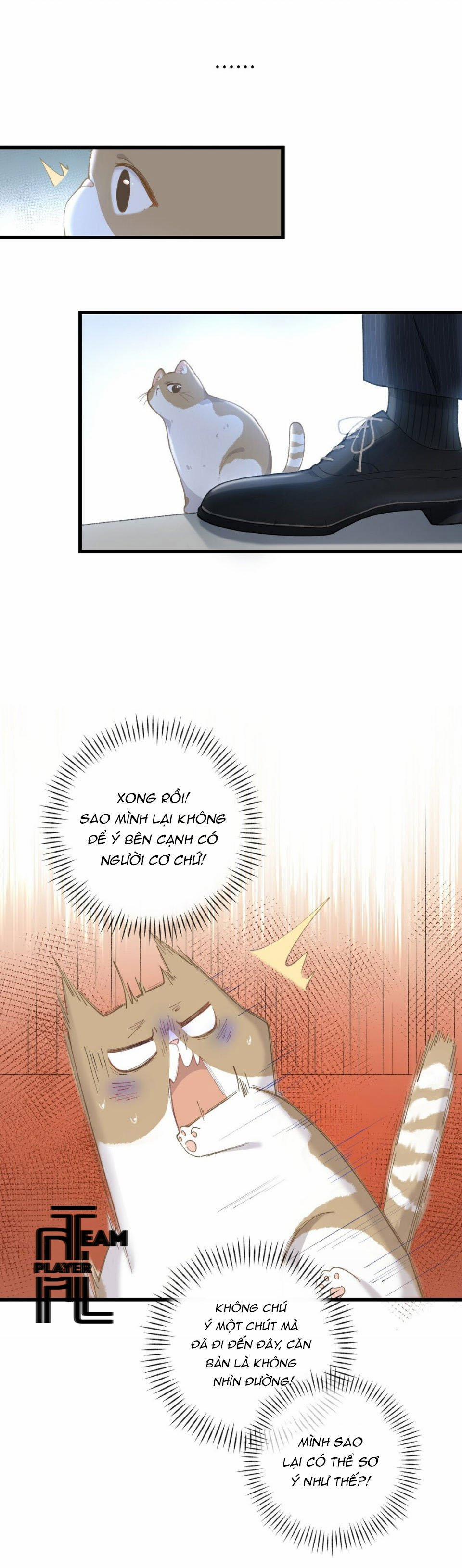 Nhật Ký Phục Thù Của Mèo Garfield 3 trang 12