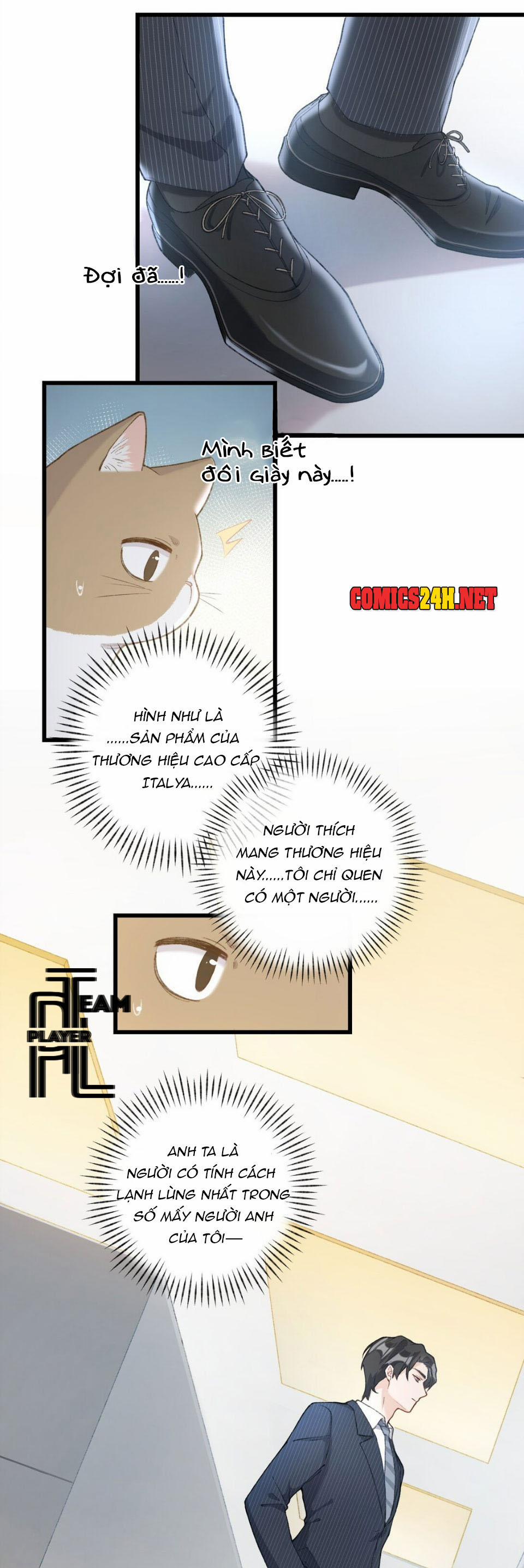 Nhật Ký Phục Thù Của Mèo Garfield 3 trang 13