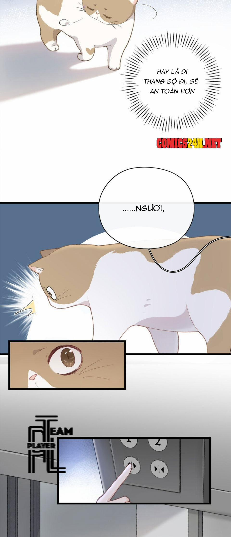 Nhật Ký Phục Thù Của Mèo Garfield 3 trang 18