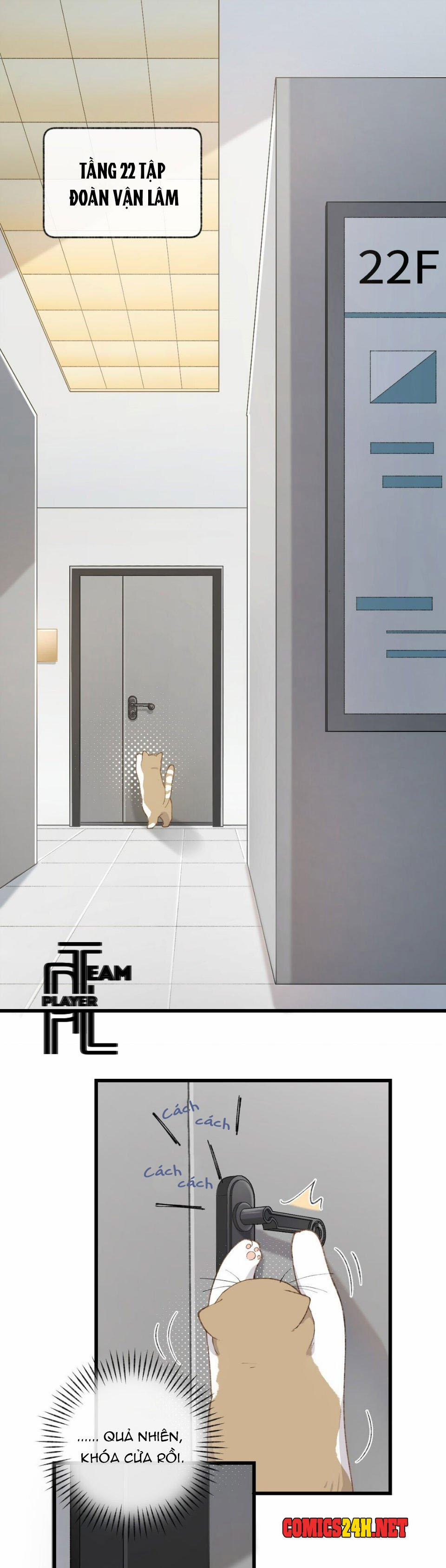 Nhật Ký Phục Thù Của Mèo Garfield 3 trang 2