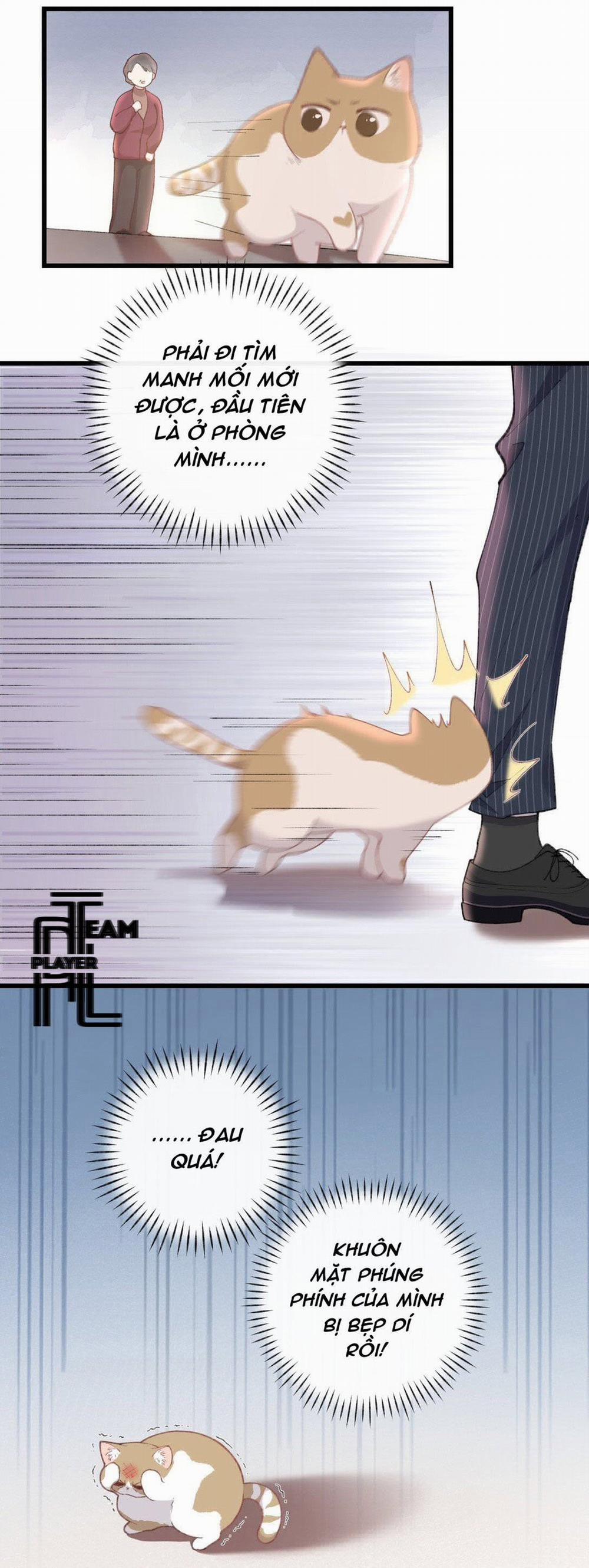 Nhật Ký Phục Thù Của Mèo Garfield 4 trang 12