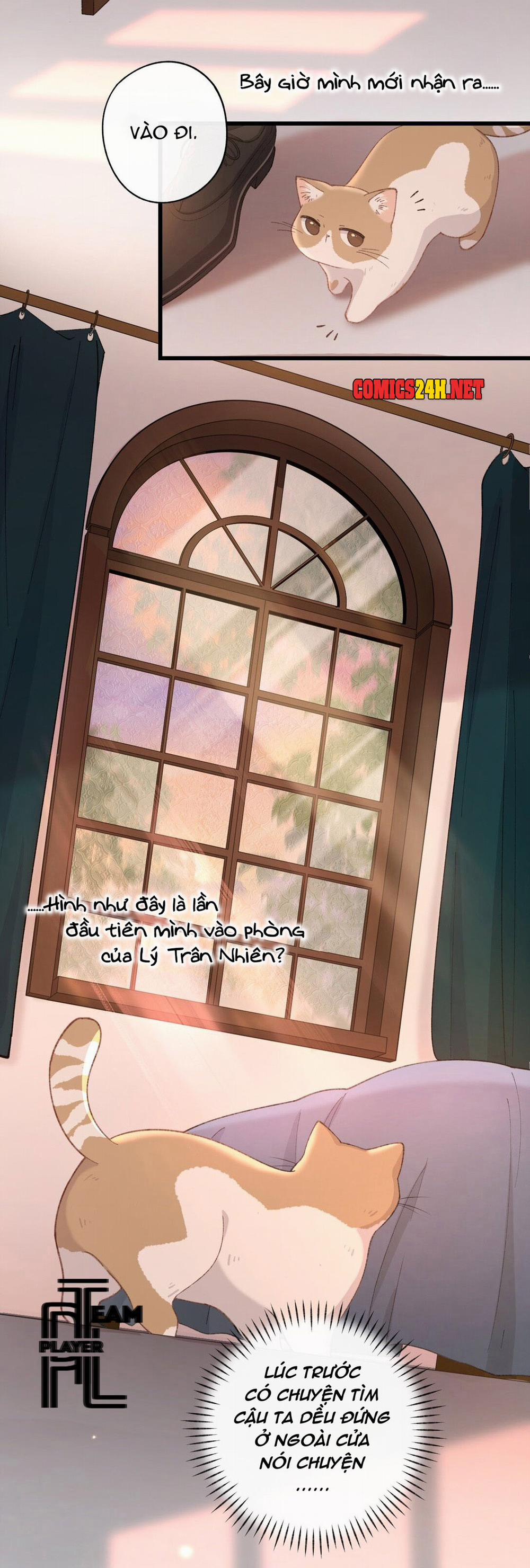 Nhật Ký Phục Thù Của Mèo Garfield 4 trang 17