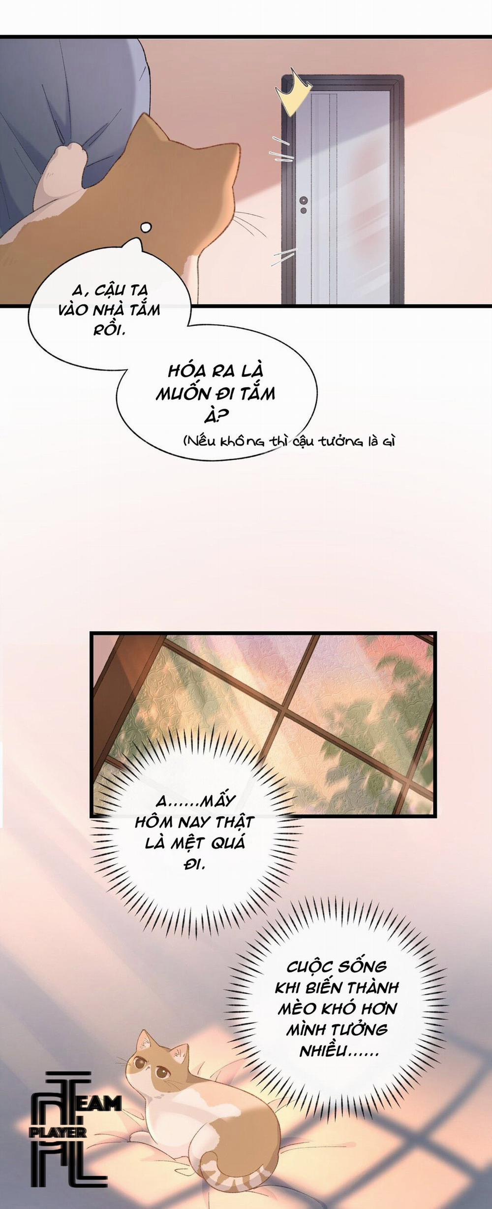 Nhật Ký Phục Thù Của Mèo Garfield 4 trang 21