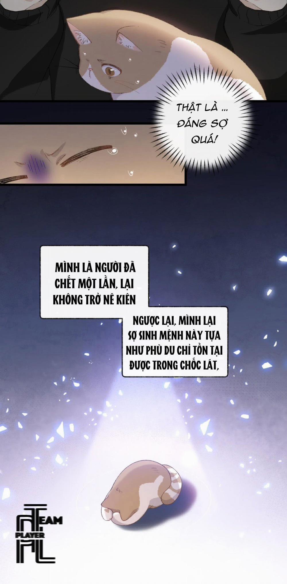 Nhật Ký Phục Thù Của Mèo Garfield 6 trang 24