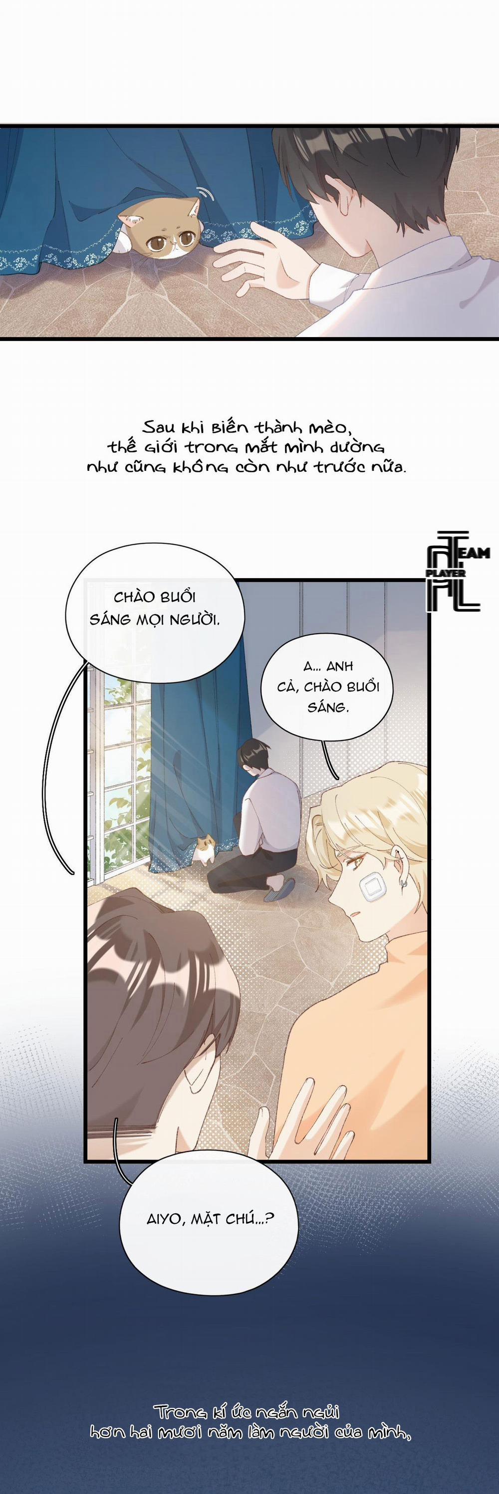 Nhật Ký Phục Thù Của Mèo Garfield 7 trang 19