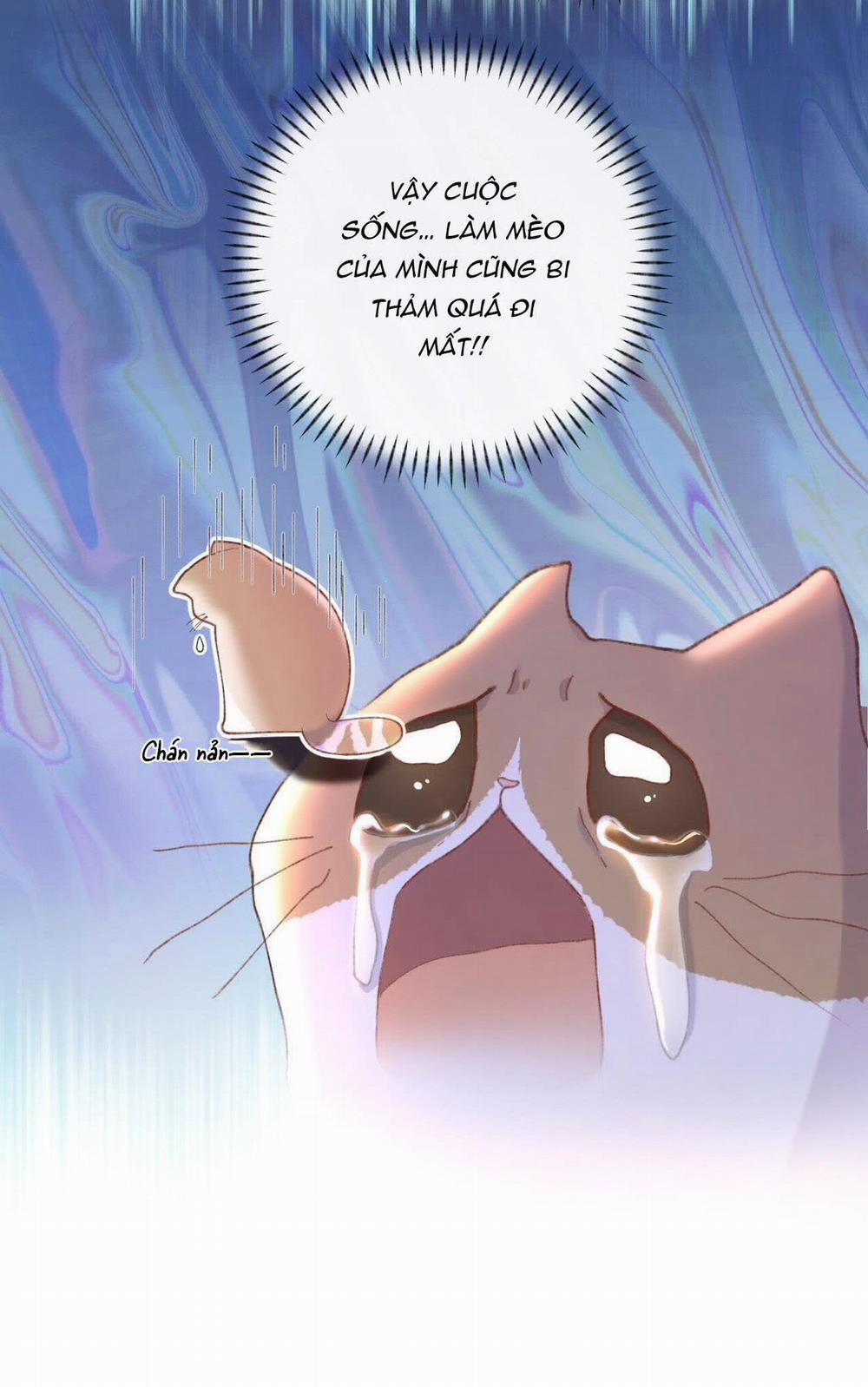 Nhật Ký Phục Thù Của Mèo Garfield 7 trang 8