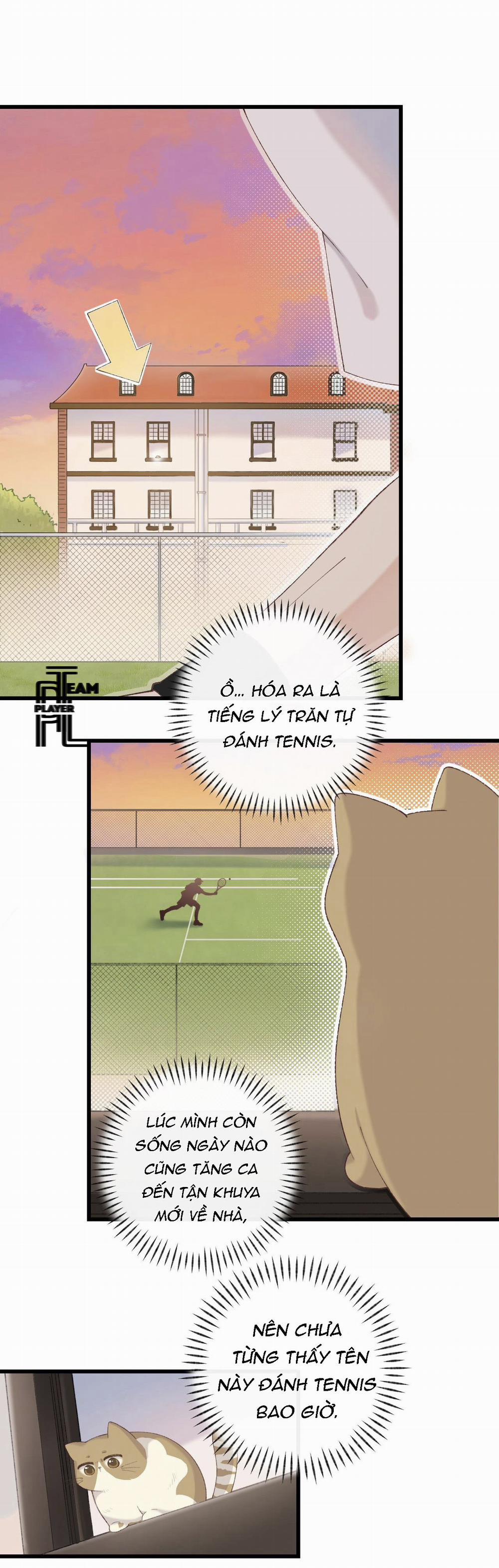 Nhật Ký Phục Thù Của Mèo Garfield 9 trang 11