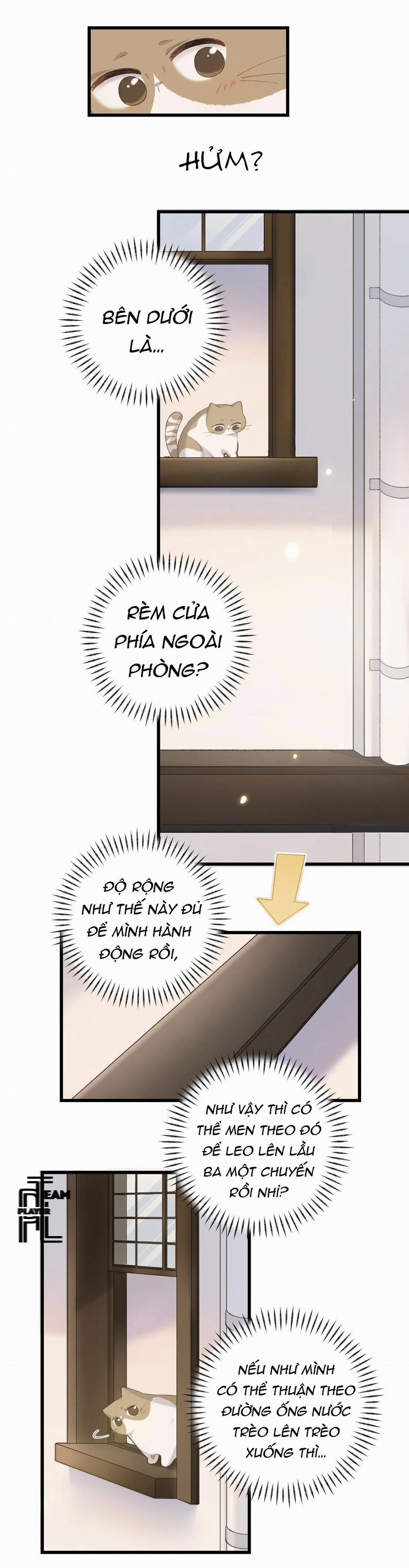 Nhật Ký Phục Thù Của Mèo Garfield 9 trang 12