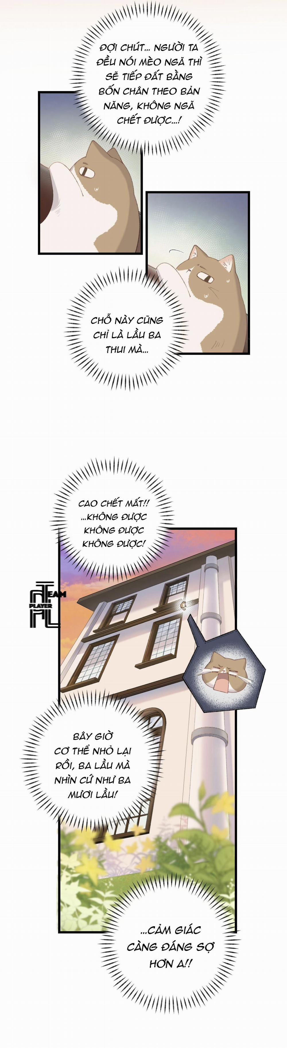 Nhật Ký Phục Thù Của Mèo Garfield 9 trang 17