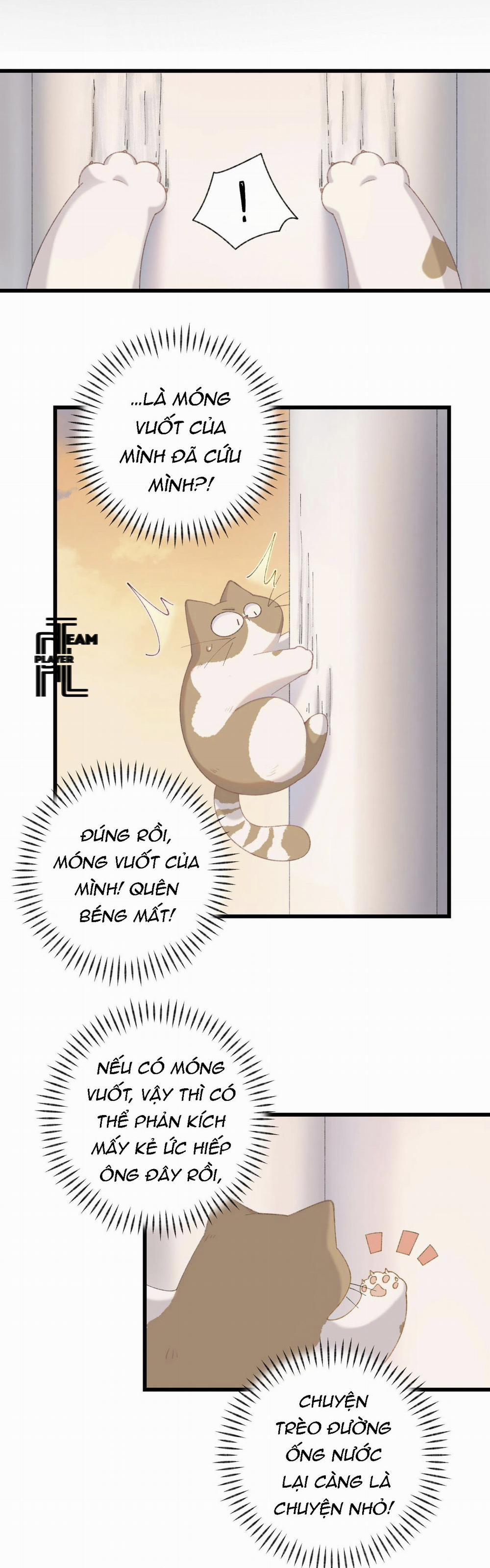 Nhật Ký Phục Thù Của Mèo Garfield 9 trang 20