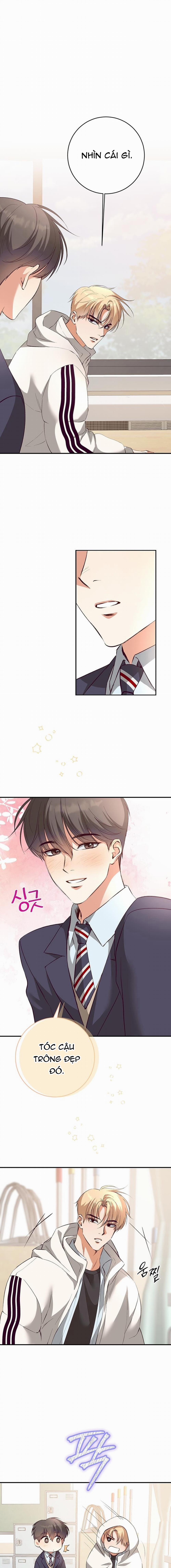 Nhật Ký Quan Sát Hoa Bồ Công Anh 2 trang 0