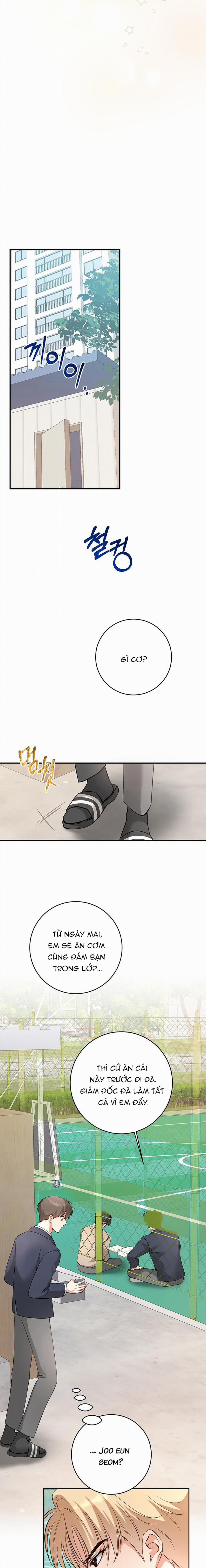 Nhật Ký Quan Sát Hoa Bồ Công Anh 3 trang 11