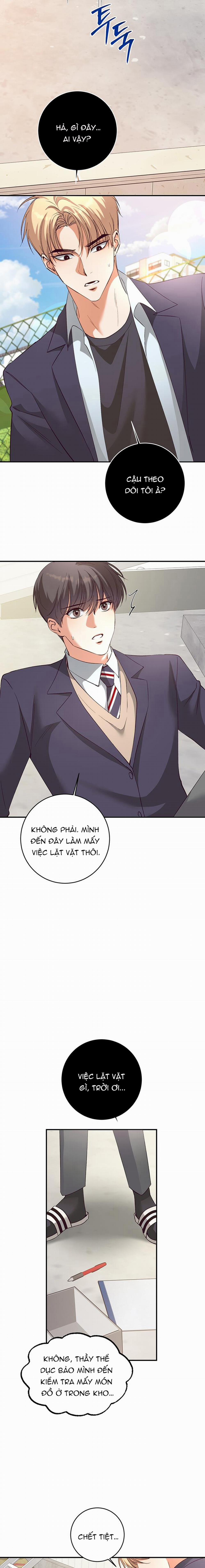 Nhật Ký Quan Sát Hoa Bồ Công Anh 3 trang 15