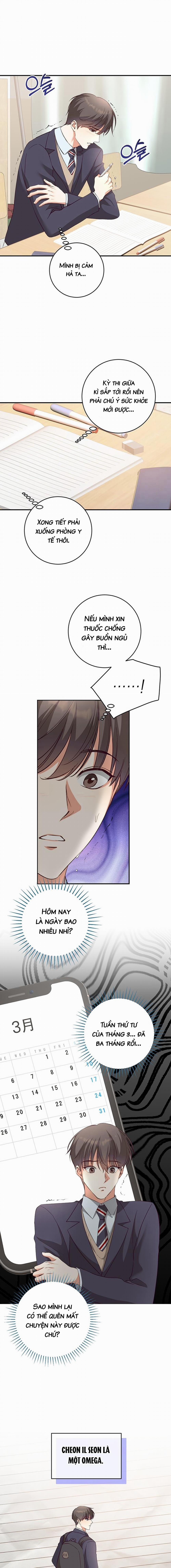 Nhật Ký Quan Sát Hoa Bồ Công Anh 4 trang 11