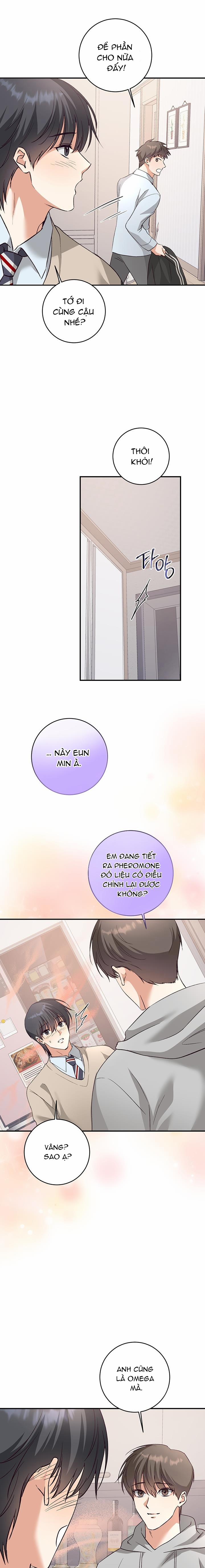 Nhật Ký Quan Sát Hoa Bồ Công Anh 6 trang 8