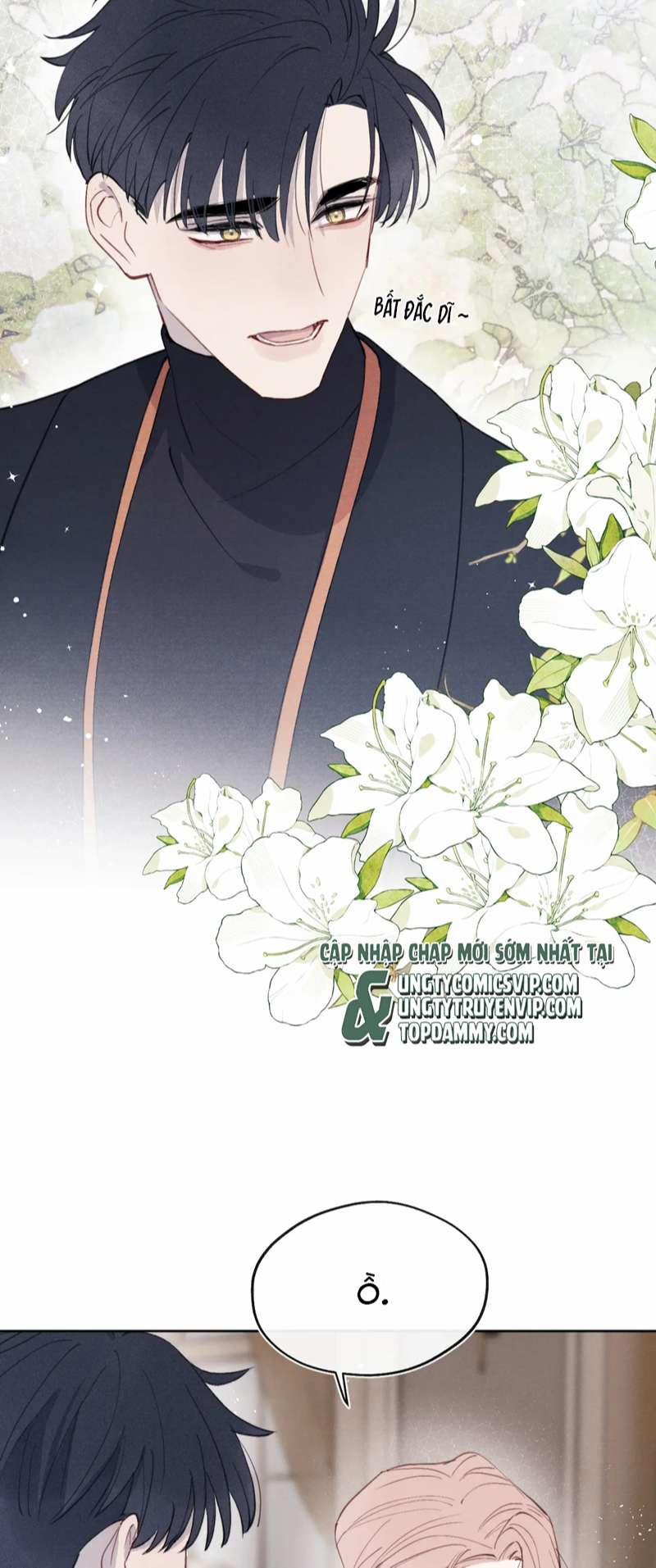 Nhật Ký Thất Tình Của Nhung Tiên Sinh 37 trang 13