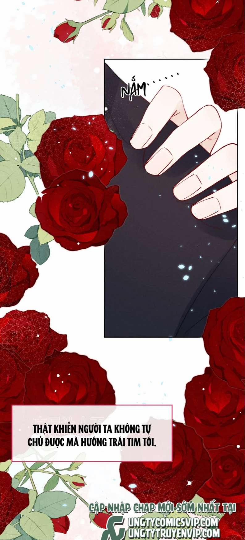 Nhật Ký Thất Tình Của Nhung Tiên Sinh 6 trang 15