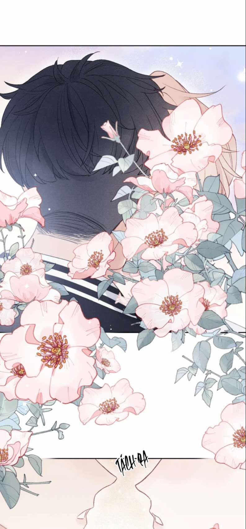 Nhật Ký Thất Tình Của Nhung Tiên Sinh 6 trang 5