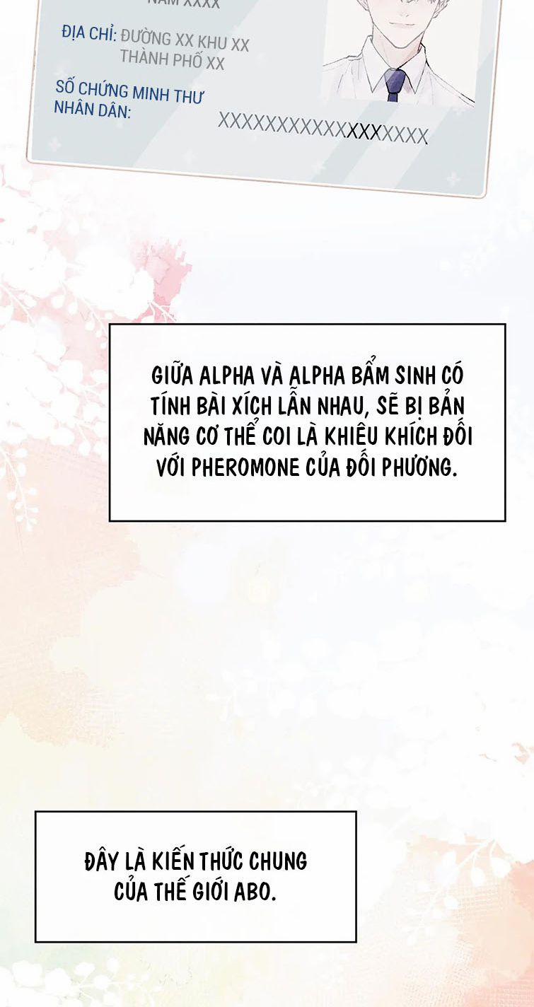 Nhật Ký Thất Tình Của Nhung Tiên Sinh 7 trang 14