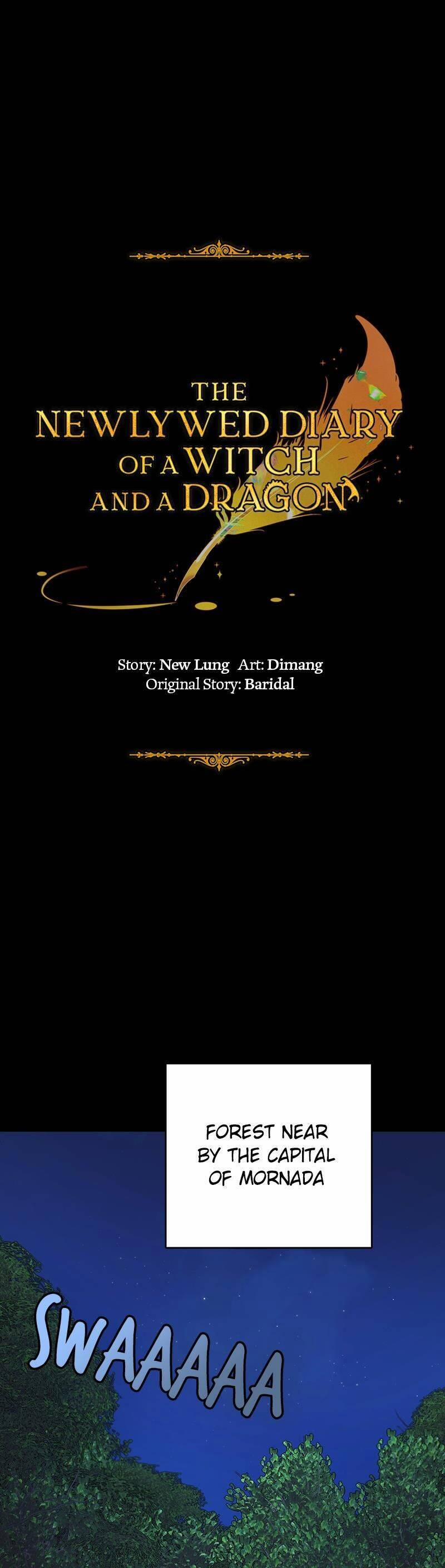 Nhật Ký Tuần Trăng Mật Của Phù Thủy Và Rồng 102 trang 0