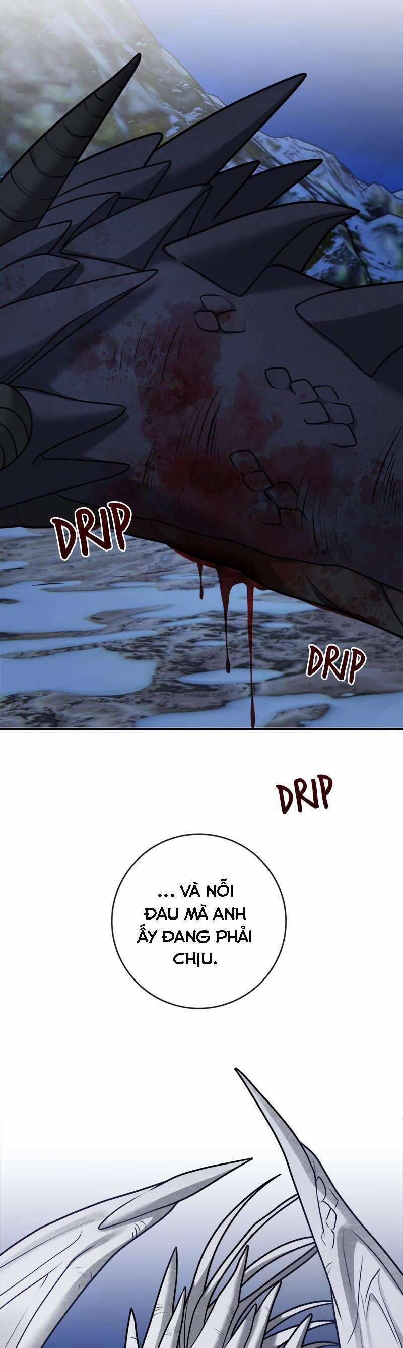 Nhật Ký Tuần Trăng Mật Của Phù Thủy Và Rồng 107 trang 29