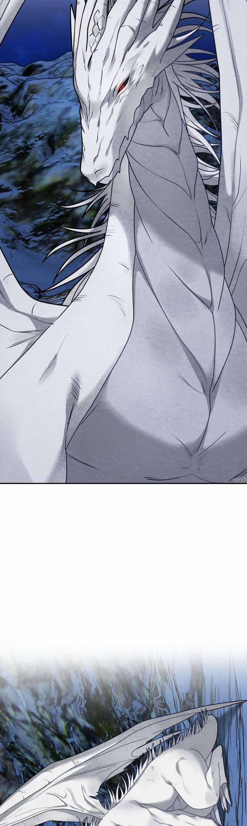 Nhật Ký Tuần Trăng Mật Của Phù Thủy Và Rồng 107 trang 30