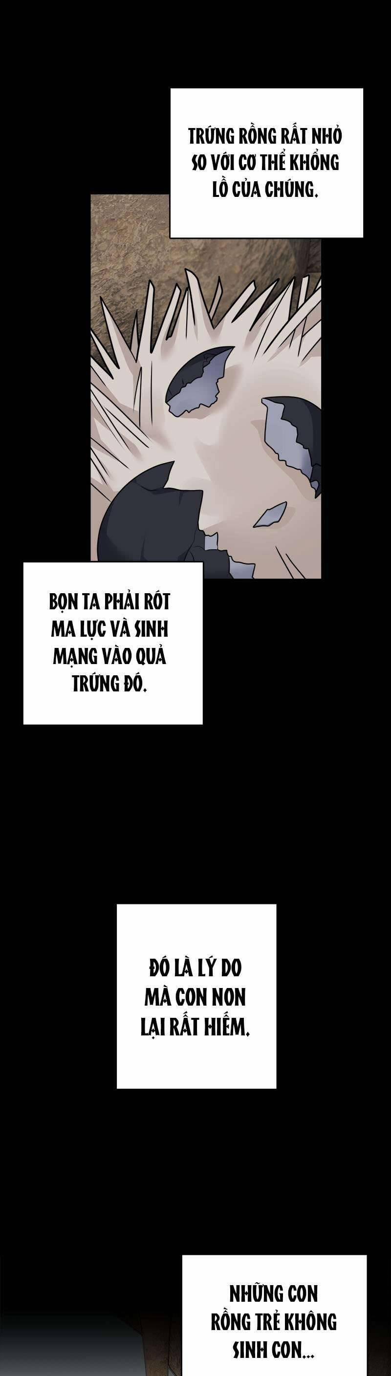 Nhật Ký Tuần Trăng Mật Của Phù Thủy Và Rồng 109 trang 28