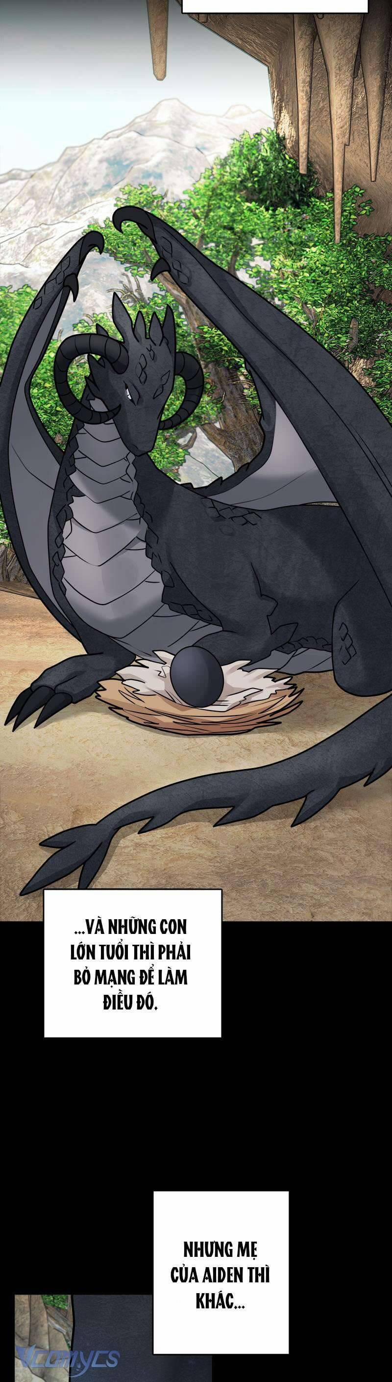 Nhật Ký Tuần Trăng Mật Của Phù Thủy Và Rồng 109 trang 29