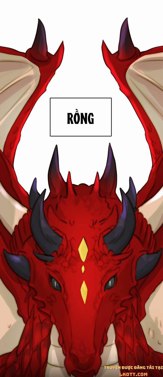 Nhật Ký Tuần Trăng Mật Của Phù Thủy Và Rồng 11 trang 1