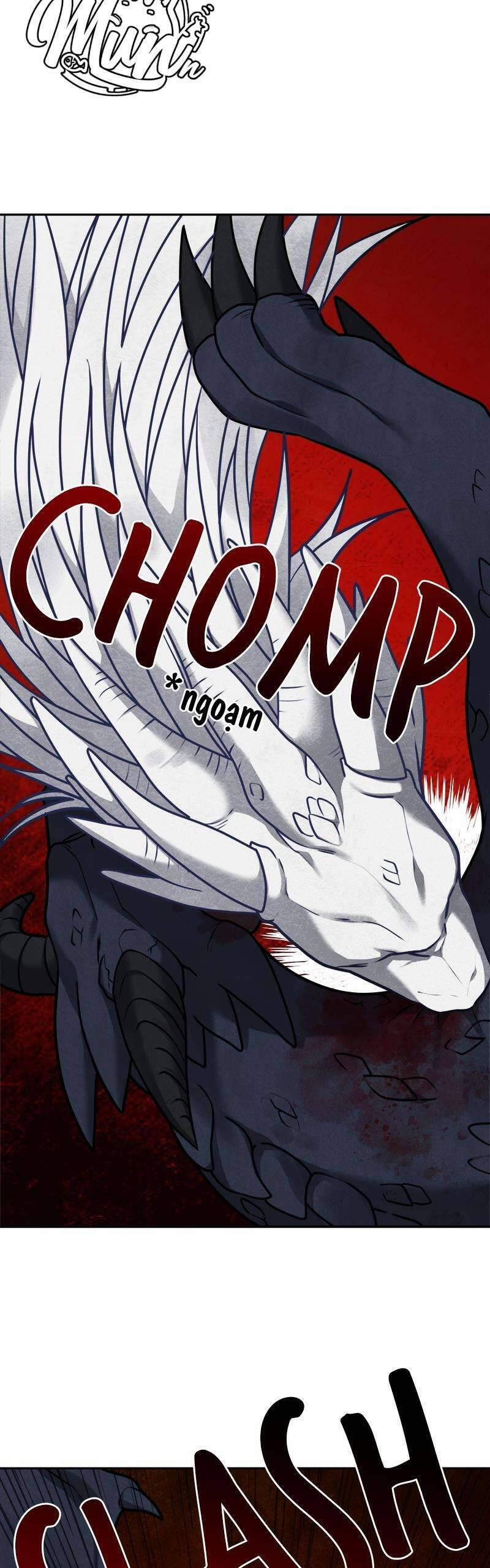 Nhật Ký Tuần Trăng Mật Của Phù Thủy Và Rồng 111 trang 13