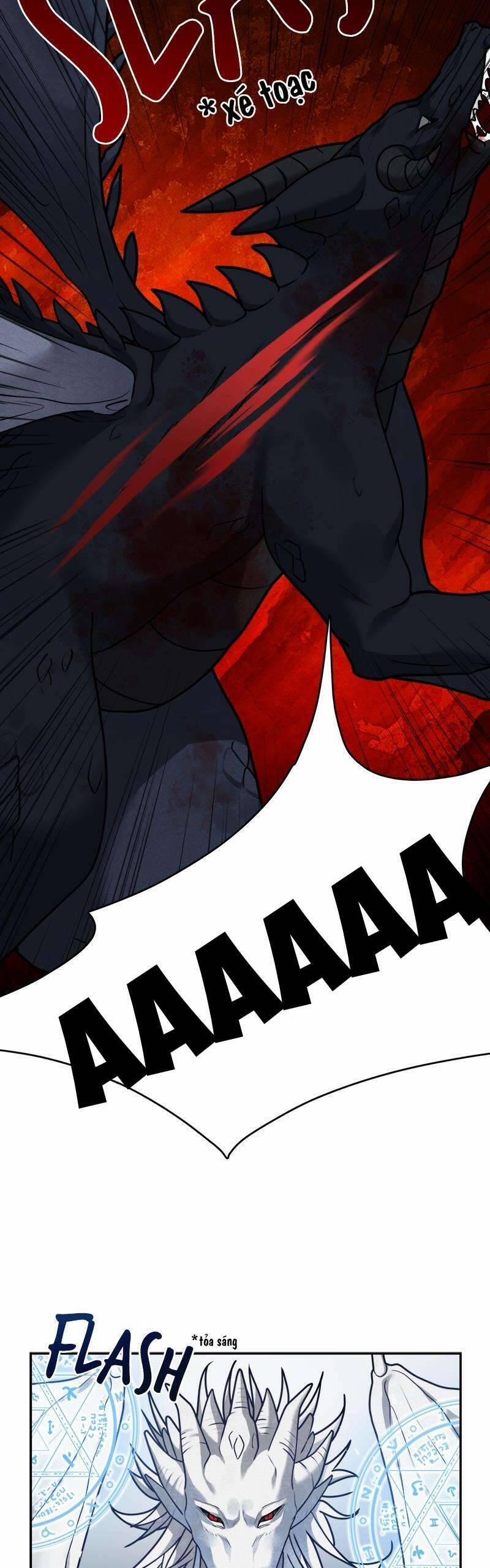 Nhật Ký Tuần Trăng Mật Của Phù Thủy Và Rồng 111 trang 14