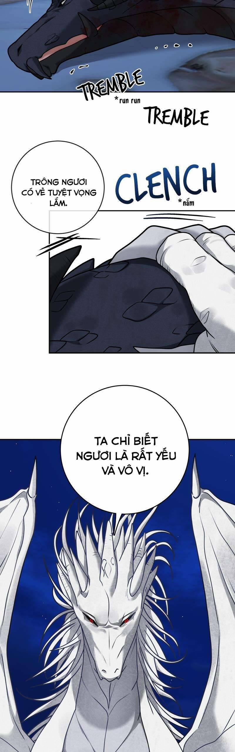 Nhật Ký Tuần Trăng Mật Của Phù Thủy Và Rồng 111 trang 17