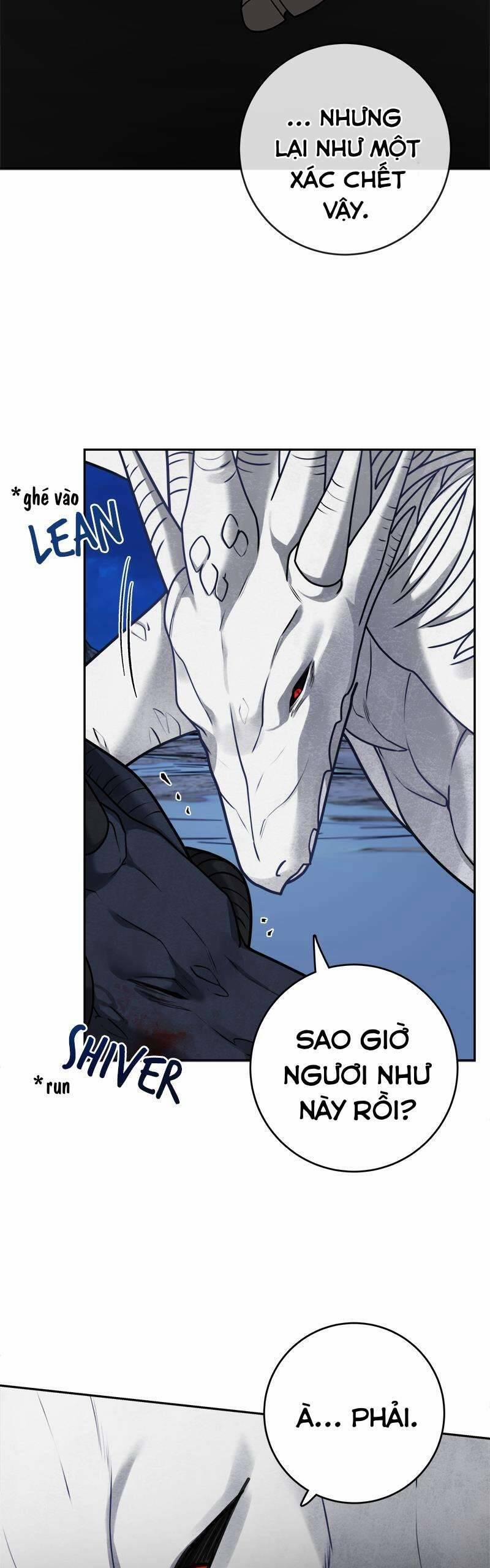 Nhật Ký Tuần Trăng Mật Của Phù Thủy Và Rồng 111 trang 19