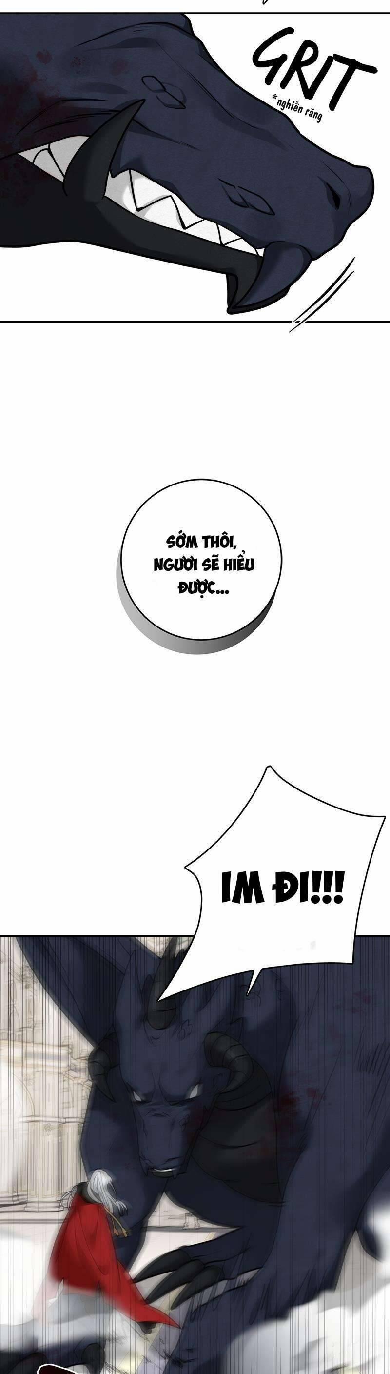 Nhật Ký Tuần Trăng Mật Của Phù Thủy Và Rồng 111 trang 29