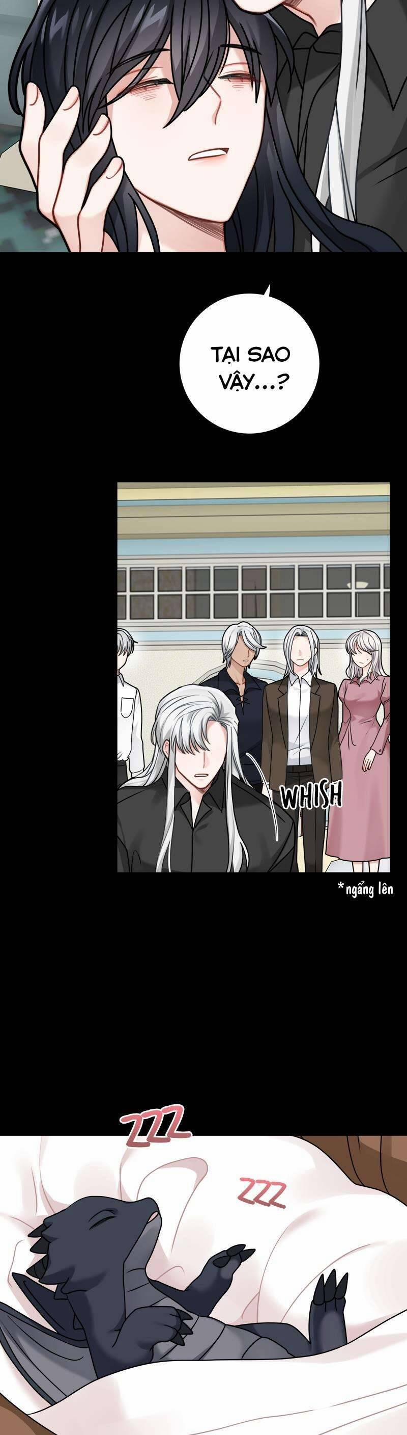 Nhật Ký Tuần Trăng Mật Của Phù Thủy Và Rồng 112 trang 6