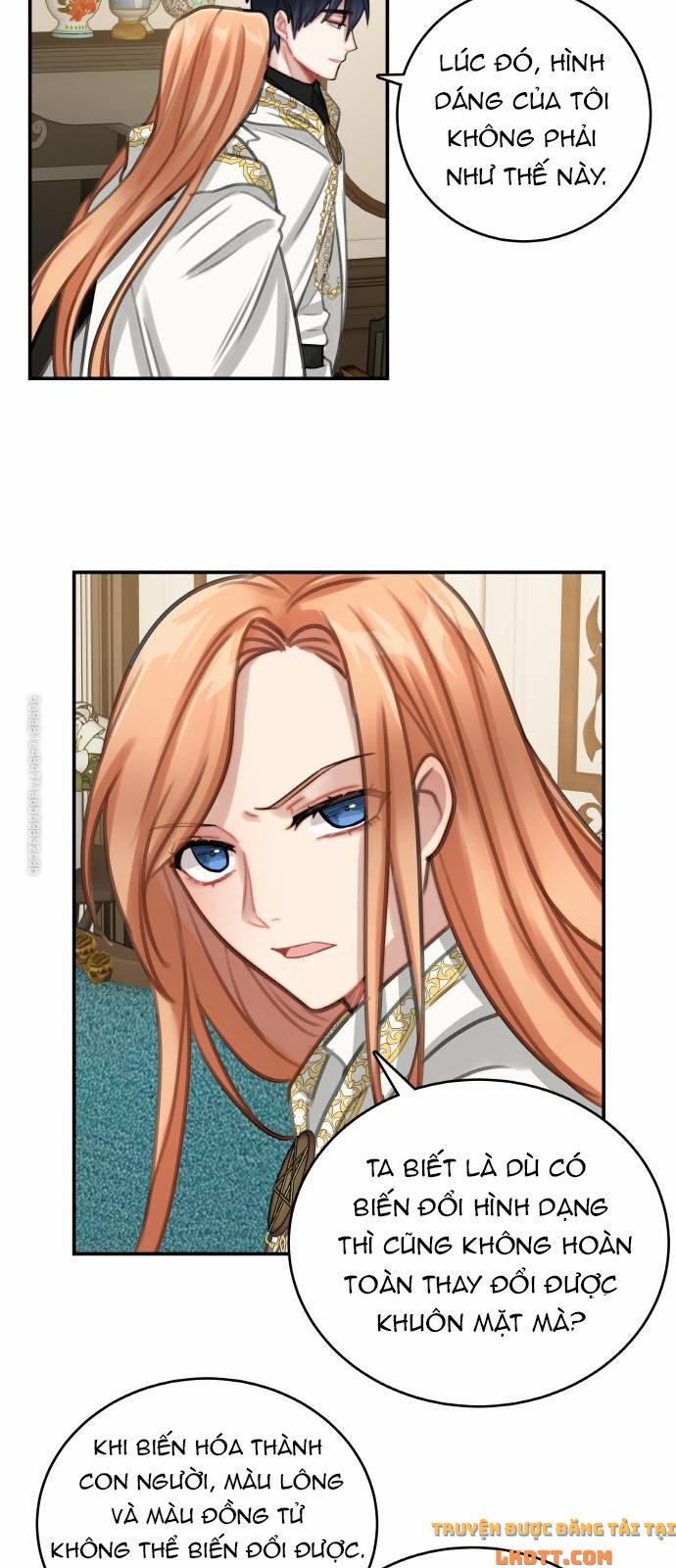 Nhật Ký Tuần Trăng Mật Của Phù Thủy Và Rồng 12 trang 17