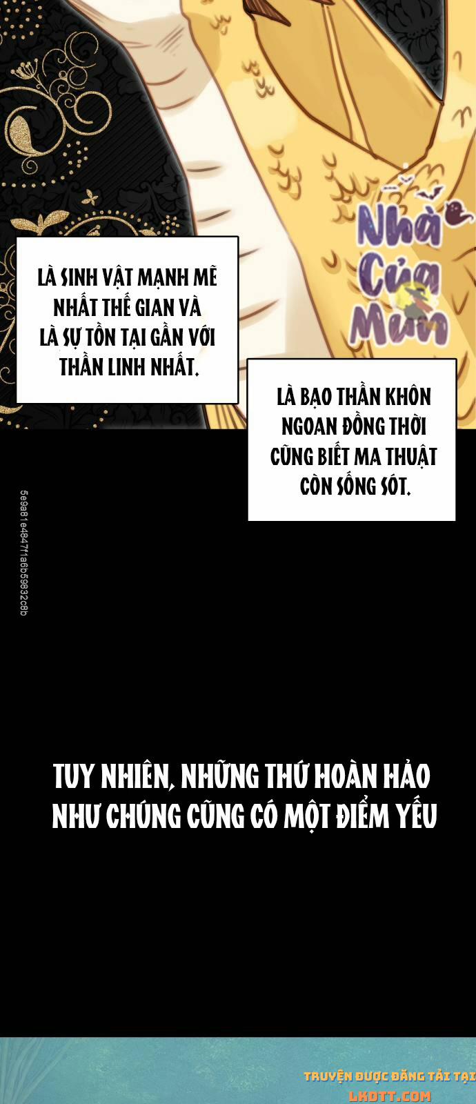 Nhật Ký Tuần Trăng Mật Của Phù Thủy Và Rồng 12 trang 28