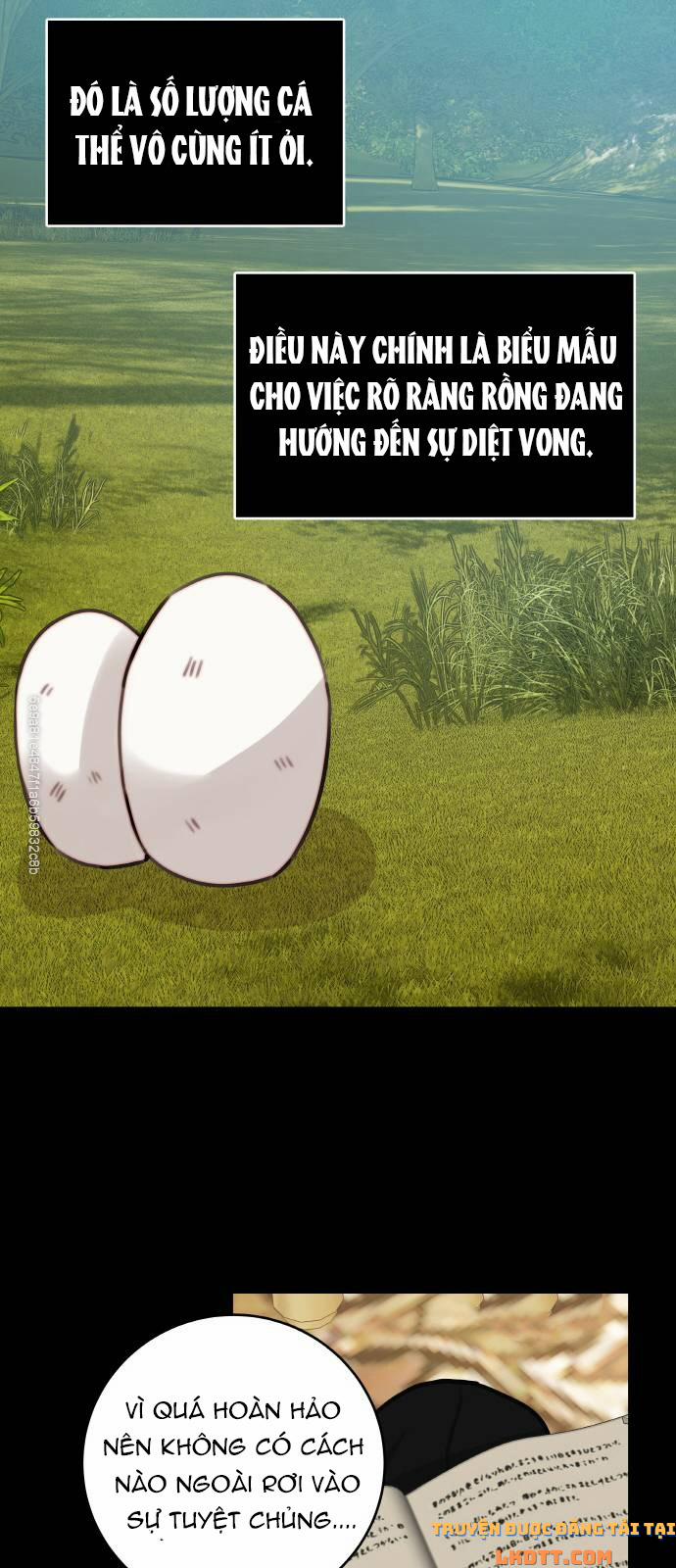 Nhật Ký Tuần Trăng Mật Của Phù Thủy Và Rồng 12 trang 29